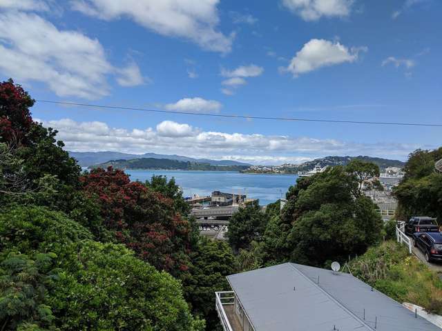 72A Sar Street Wadestown_1