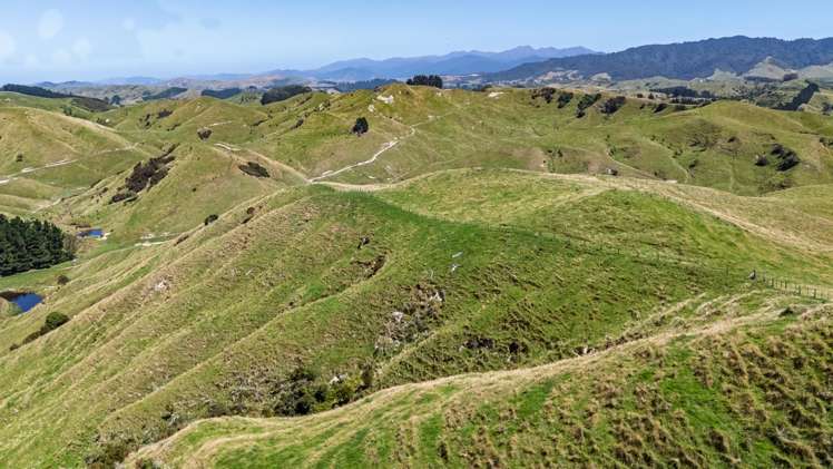 1823 Opaki Kaiparoro Road Mauriceville_13