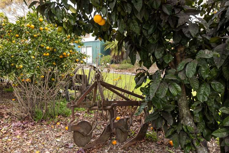 17 Havelock Street Renwick_25