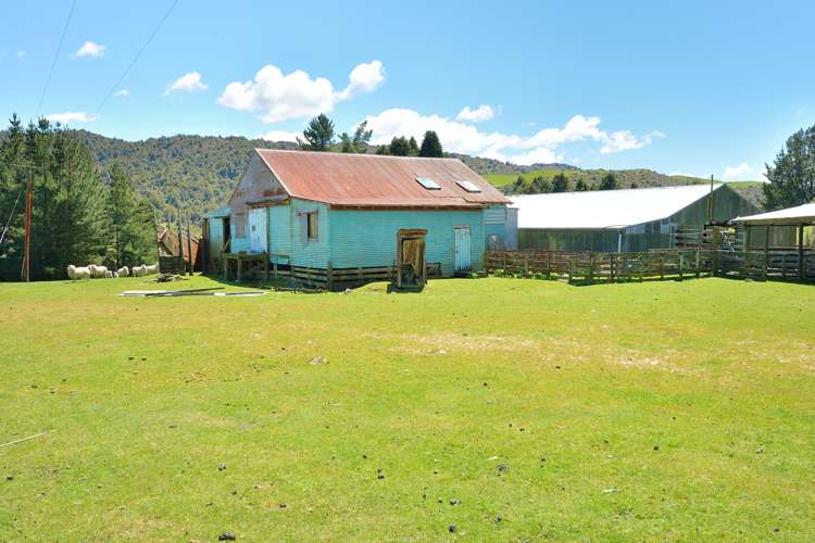 1161 Rakauroa Road Matawai_4