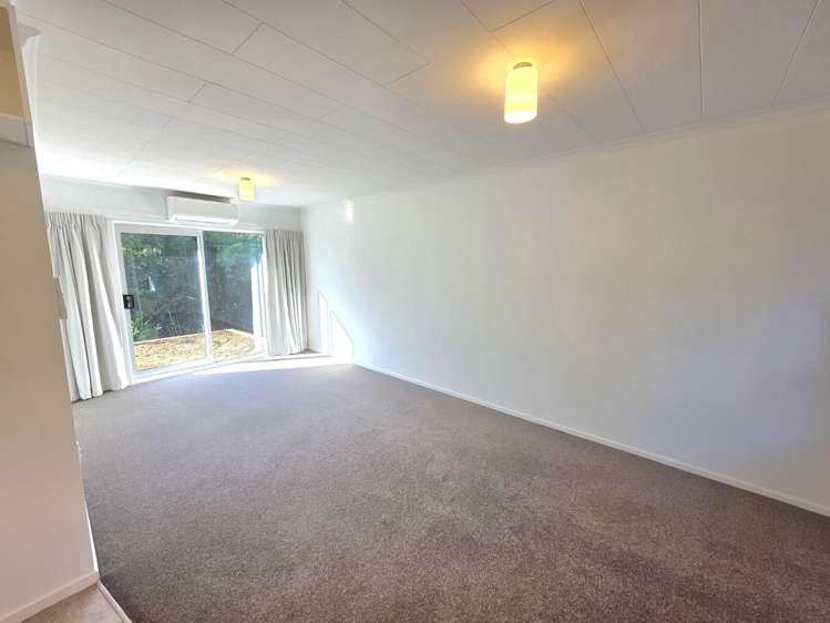 10a Turi Street 10859_4