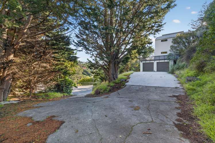 60 Soleares Avenue Mount Pleasant_4
