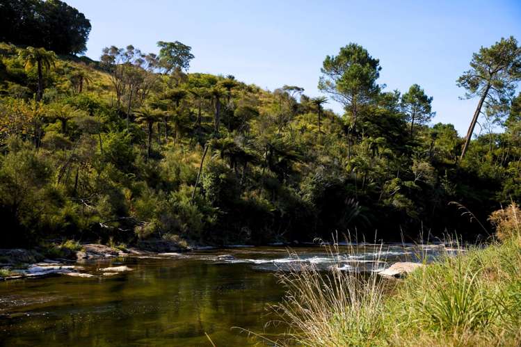 196C Pukemapu Road Oropi_15