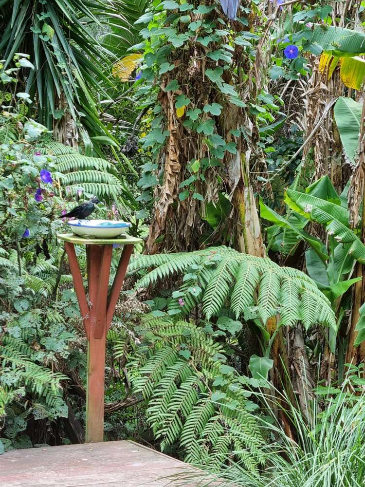 3 Nepean Avenue Orapiu_25