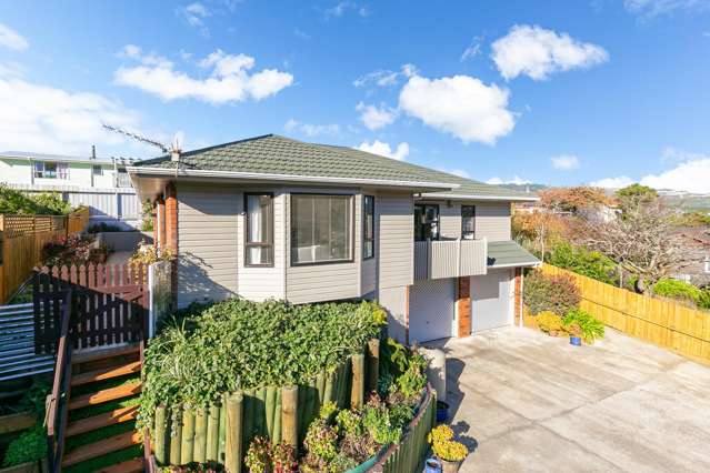 11a Roy Street Tawa_1