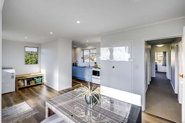 8 Lyttelton Crescent Tamatea_2