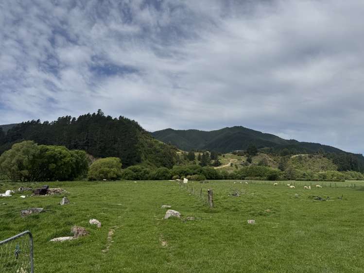 17 Para Railway Road Koromiko_3