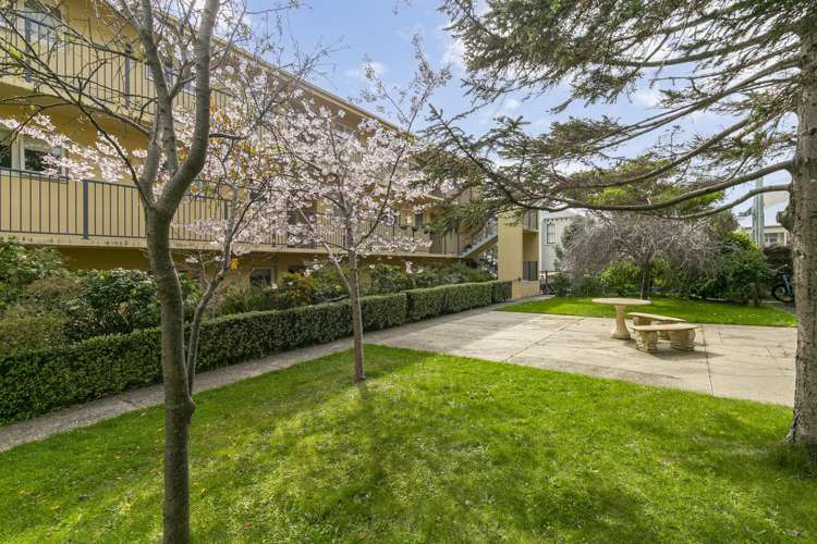 9/91 Austin Street Mount Victoria_10