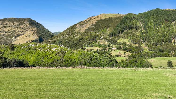 333 Packard Road Takaka_7