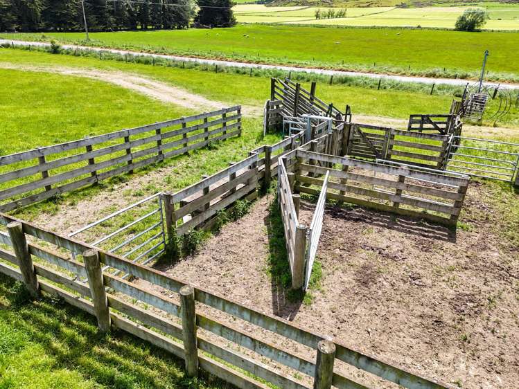 242 Caroline Valley Road Caroline_5