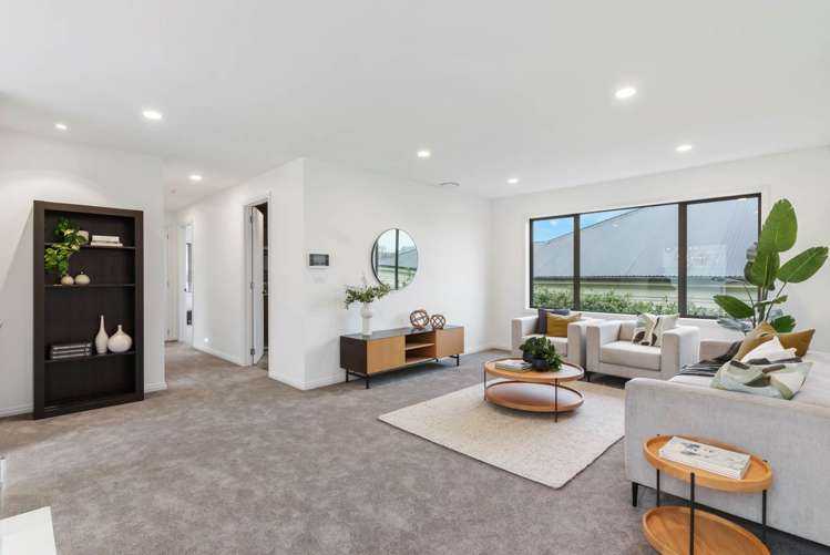 17 Dexter Avenue Mount Eden_12