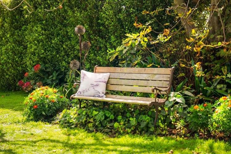 31 No 1 Road Te Puke_38