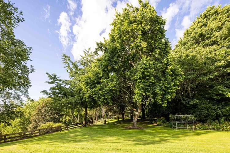 109 Butcher Road Matangi_6