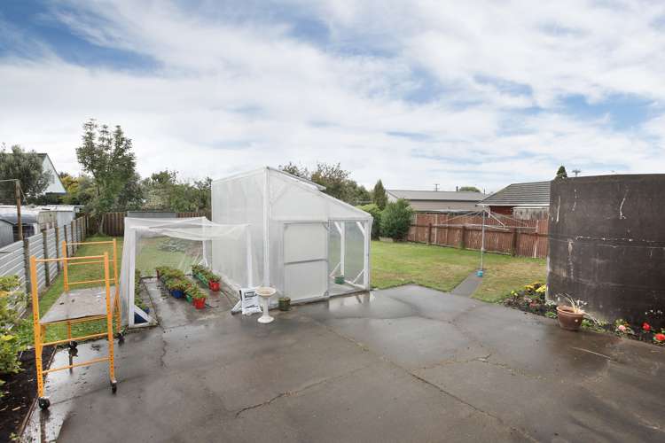 4 Johnson Street Bulls_11