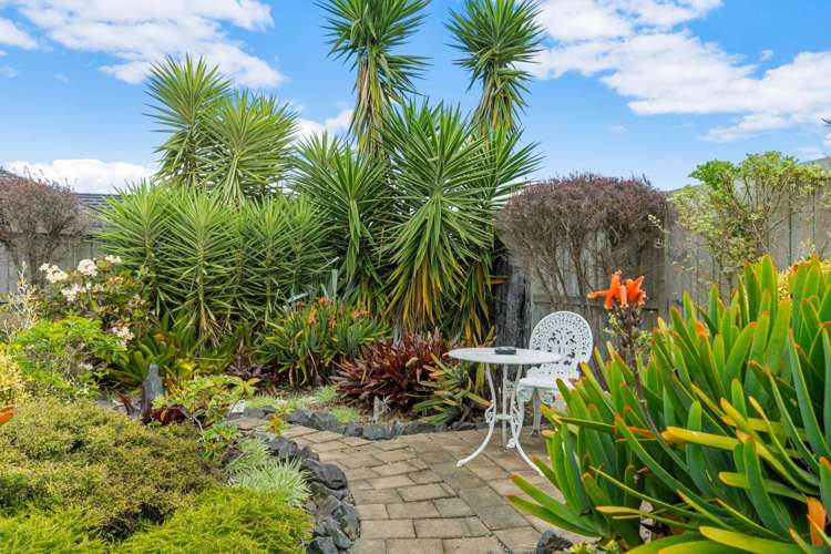 15 Roto View One Tree Point_16