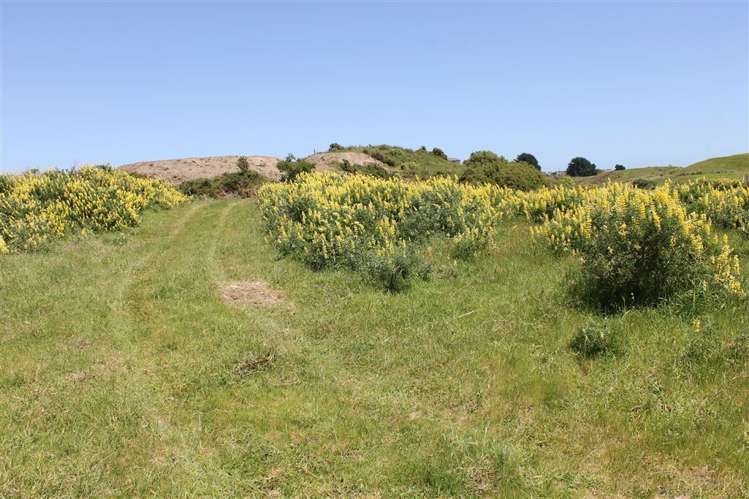 125 Strathnaver Drive Waikawa Beach_6