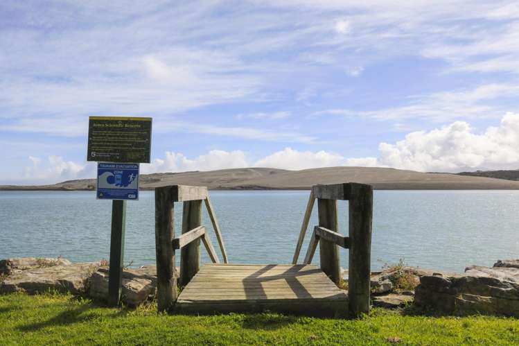 202 Ash Terrace Aotea Harbour_31