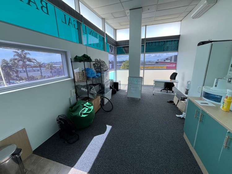 Ormiston Road Flat Bush_7