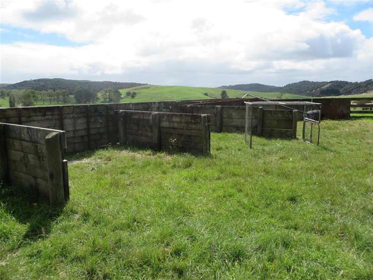 Ovens Road Matakohe_8