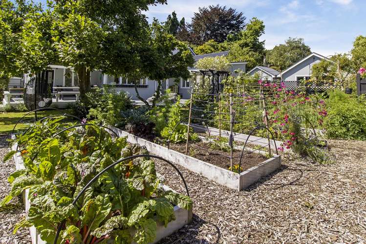 113 Temuka-Orari Highway Winchester_26