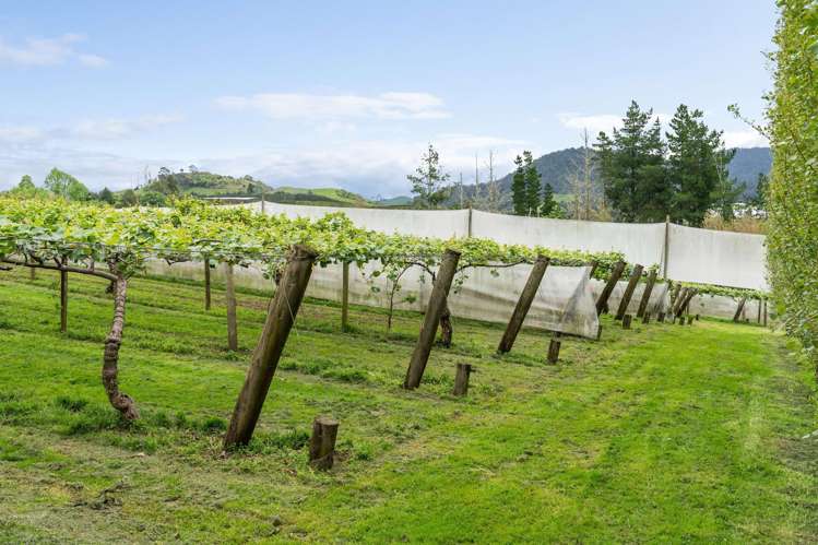 121A No 4 Road Te Puke_9