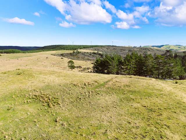 Lot 2 State Highway 12 Dargaville_2