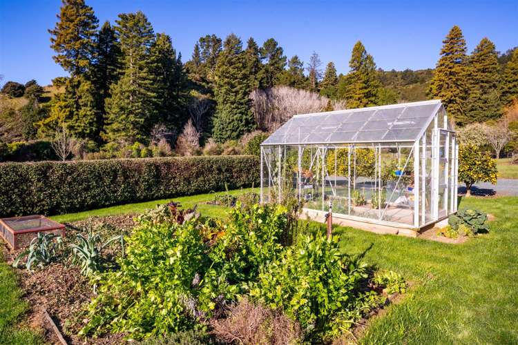 18 Hillwood Drive Wakapuaka_12