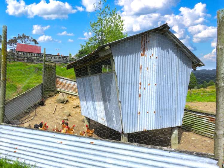 2218 Tangowahine Valley Road Dargaville Surrounds_16