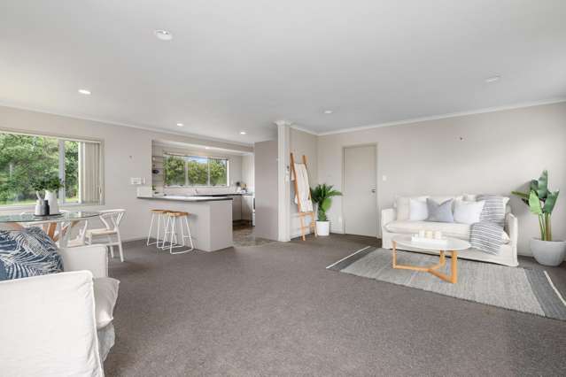 413 Maungatapu Road Maungatapu_2