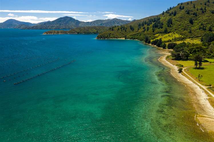 516 Clova Bay Road Kenepuru Sound_44