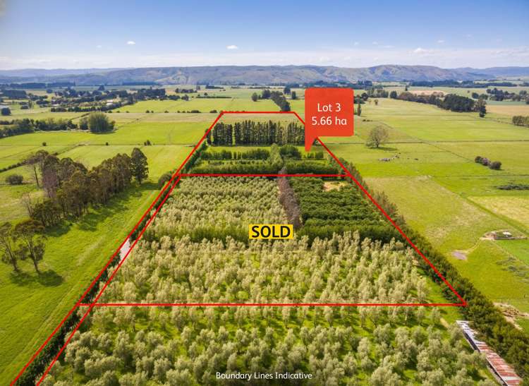 179 Bidwills Cutting Road_2