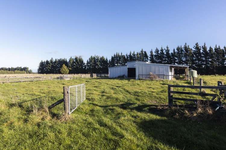 52 Webbs Road Amberley_25