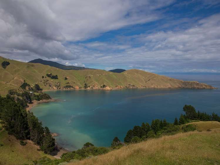 5193 Croisilles-French Pass Road Marlborough Sounds_7