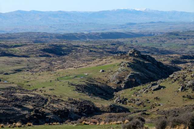 1109 Little Valley Road Alexandra_1