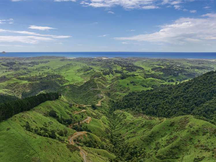 284 McCarthy Road Opotiki_6