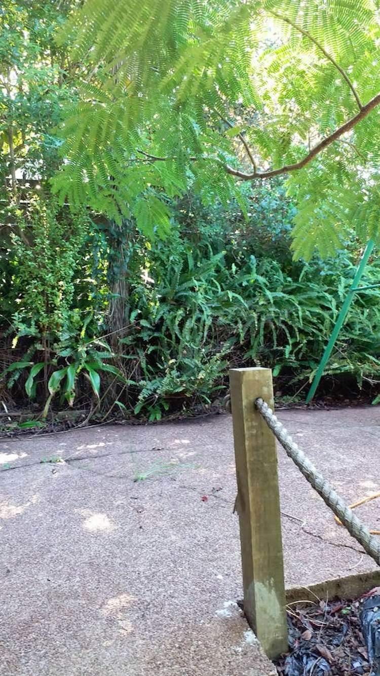 11 Babington Place Torbay_8