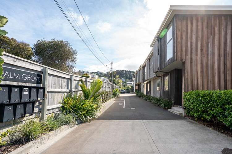 26 Palm Grove Berhampore_28