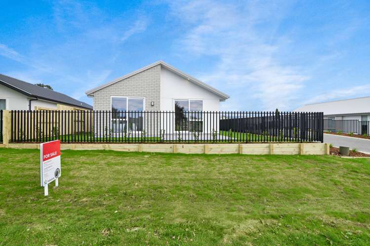 1 Hauhake Lane Omokoroa_12