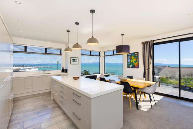 2 Arthur Vista Atawhai_4