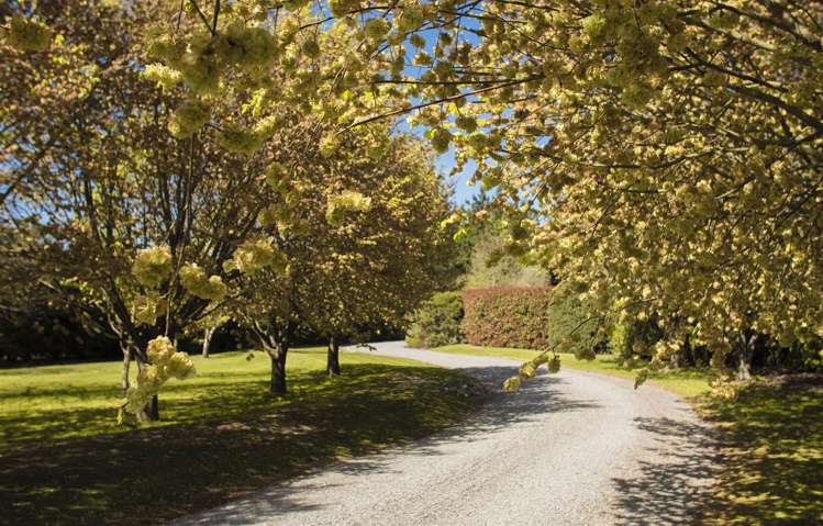 104 Winter Road Swannanoa_26