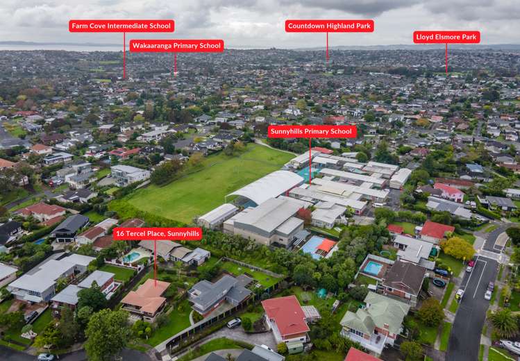 16 Tercel Place Sunnyhills_33