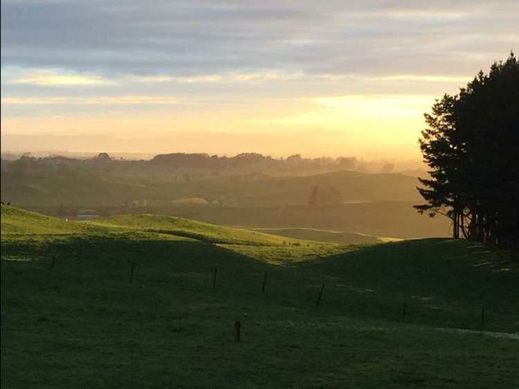 272 Broughton Road Ruawaro_25