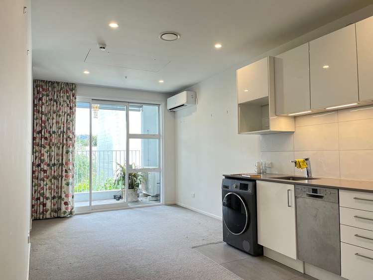 03/11g Akepiro Street Mount Eden_3