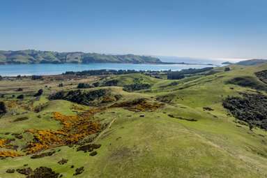 452 Harington Point Rd_4