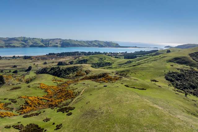 452 Harington Point Rd Lower Portobello_4