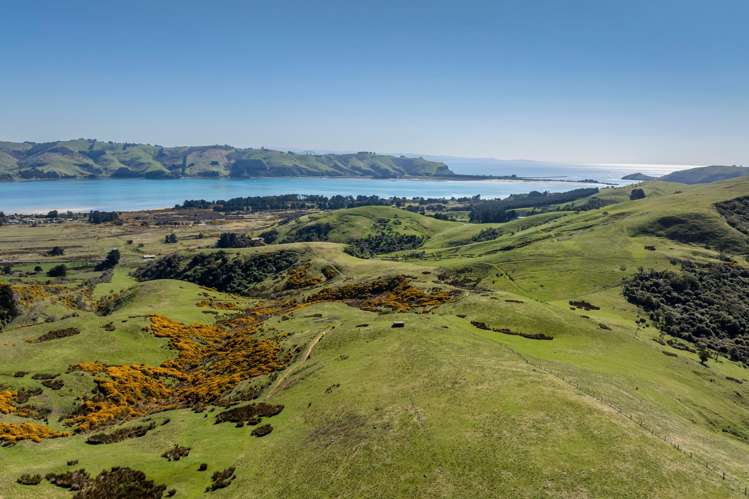 452 Harington Point Rd Lower Portobello_4