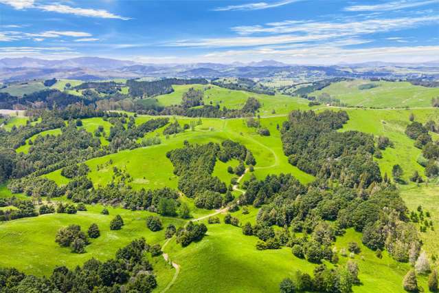 Norvil Road Titoki_1