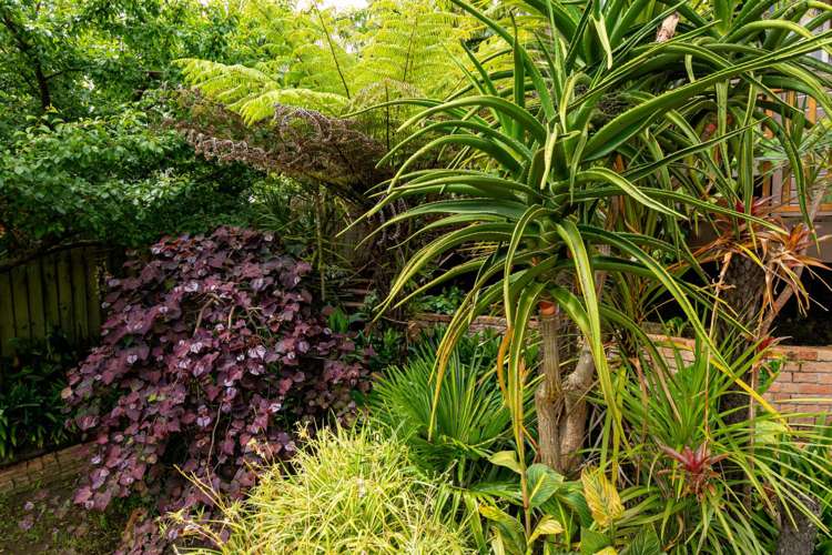 3a Mizpah Road Waiake_31