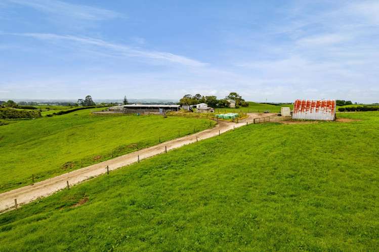 358 Opunake Road Cardiff_10