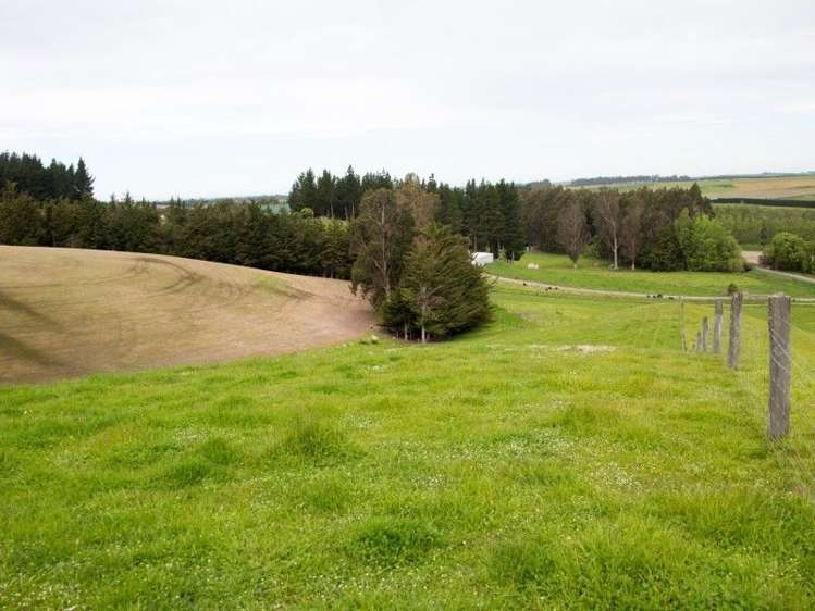 221 Driscoll Road Levels Valley_24